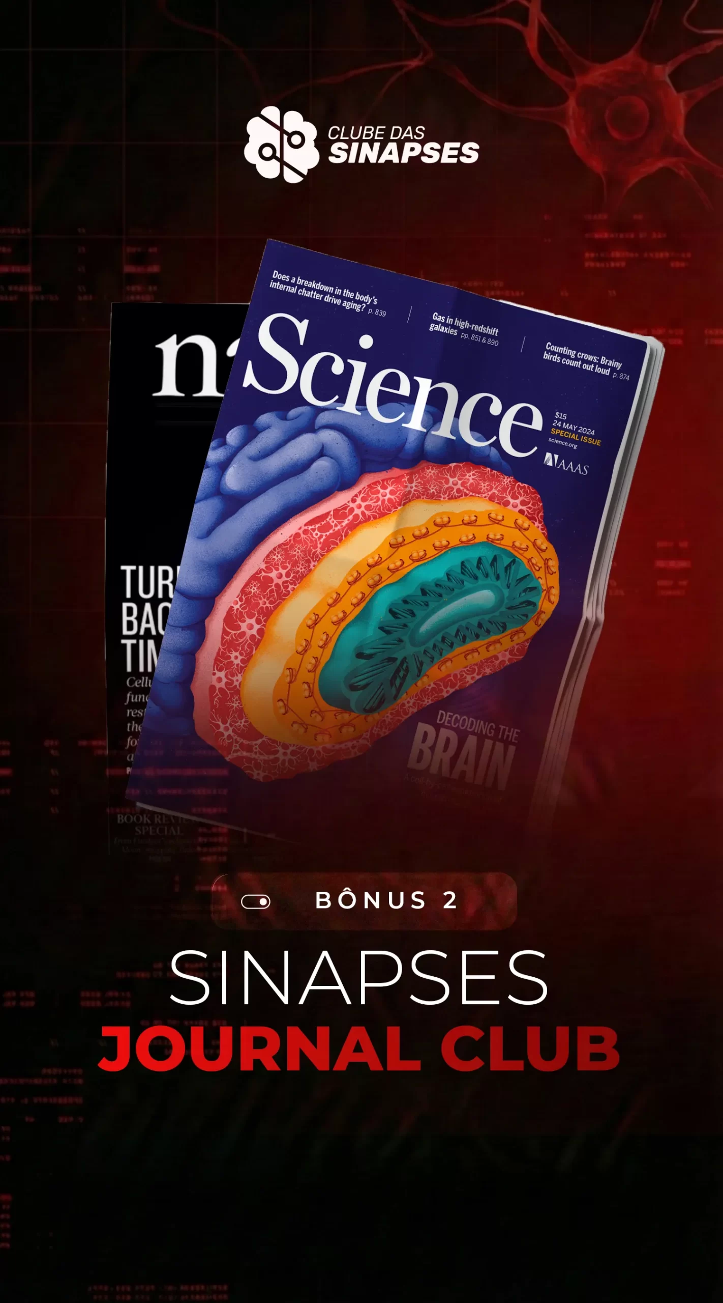 Sinapses Journal Club Acesse sessões onde debatemos artigos científicos de ponta. Traduzimos a complexidade acadêmica para uma linguagem acessível, permitindo que você se aprofunde nas últimas descobertas sem se perder no "cientificês".